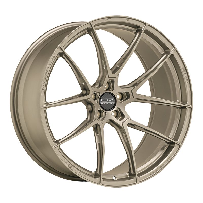 Carica immagine in Galleria Viewer, Cerchio OZ Racing Estremaforgiata 9,5x20 5x112 ET20 - Oro bianco