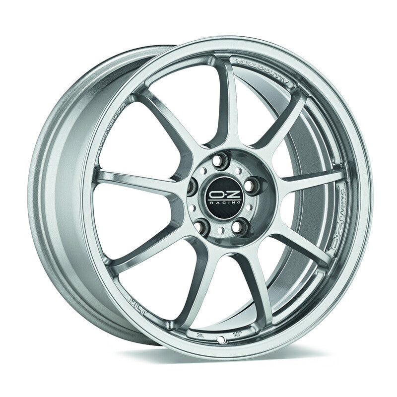 Carica immagine in Galleria Viewer, Cerchio OZ Racing Alleggerita HLT 9,5x18 5x120 ET35 - Argento glitter