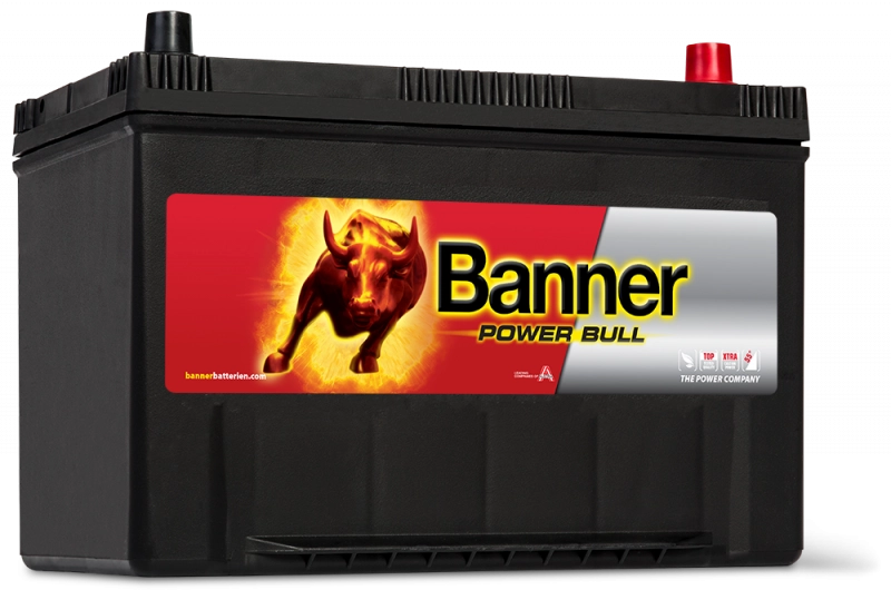 Batteria Banner Power Bull SLI ASIA 12V 95AH 740A (P9504)