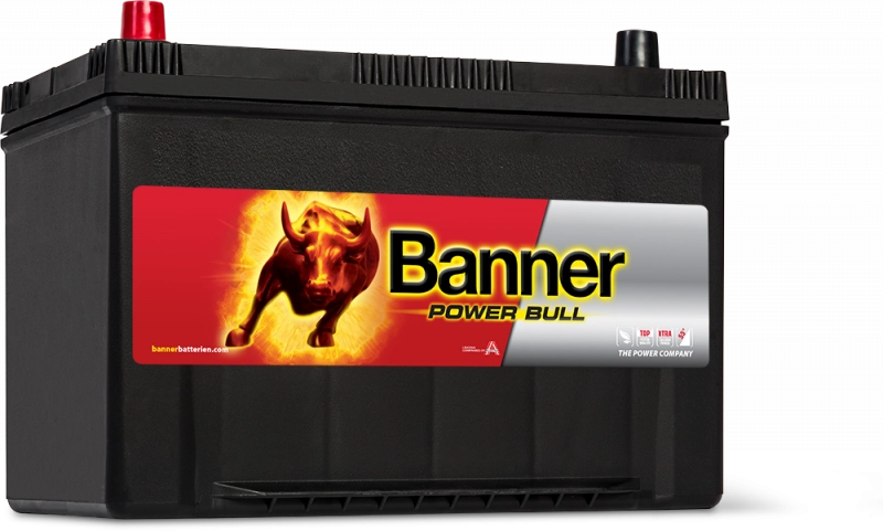 Batteria Banner Power Bull SLI ASIA 12V 95AH 740A (P9505)