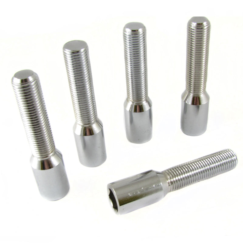 Bulloni Ruota Lunghi Argento a Impronta Interna M12x1.25 (45 mm - confezione da 10)