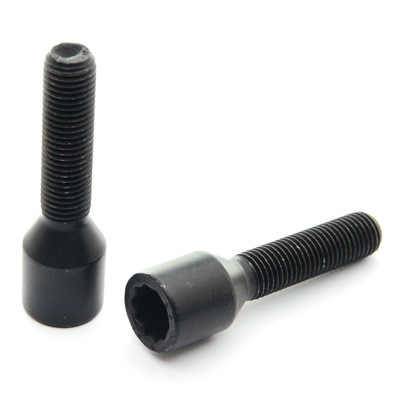 Bulloni Ruota Lunghi Neri a Impronta Interna M12x1.25 (45 mm - confezione da 10)