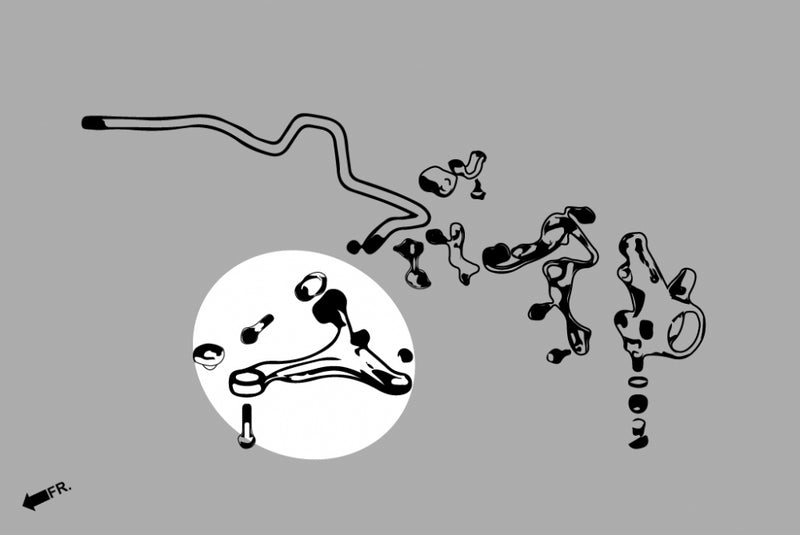 Carica immagine in Galleria Viewer, Bracci Oscillanti Inferiori Anteriori su Uniball Hardrace per Honda Integra Type R DC5
