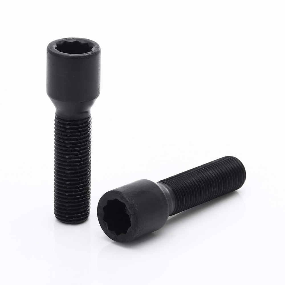 Bulloni Ruota Lunghi Neri a Impronta Interna M14x1.25 (45 mm - confezione da 10)
