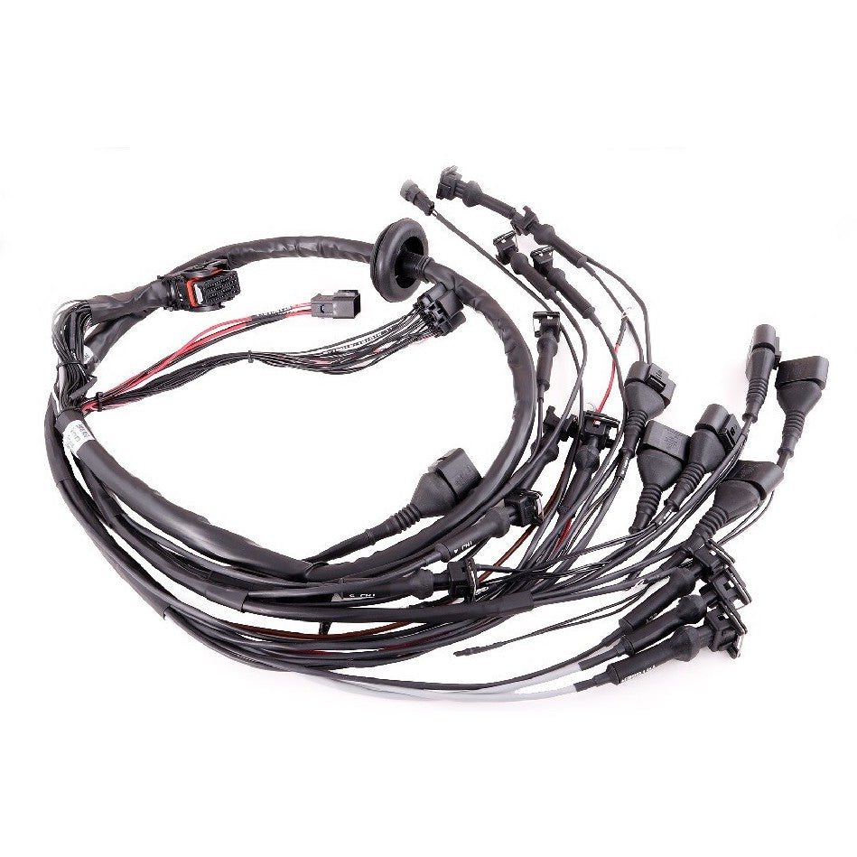 Cablaggio Motore MaxxECU "Plug & Play" per BMW M50