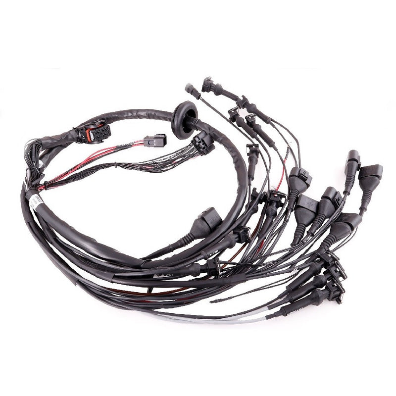 Carica immagine in Galleria Viewer, Cablaggio Motore MaxxECU "Plug &amp; Play" per BMW M50
