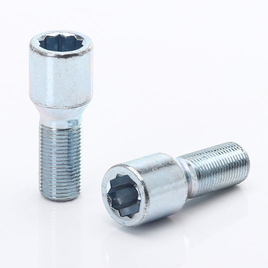 Bulloni Ruota Argento a Impronta Interna M12x1.75 (confezione da 20)