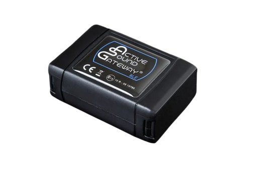 Componente scarico Milltek SSXAU668 per Audi A6 Controllo
