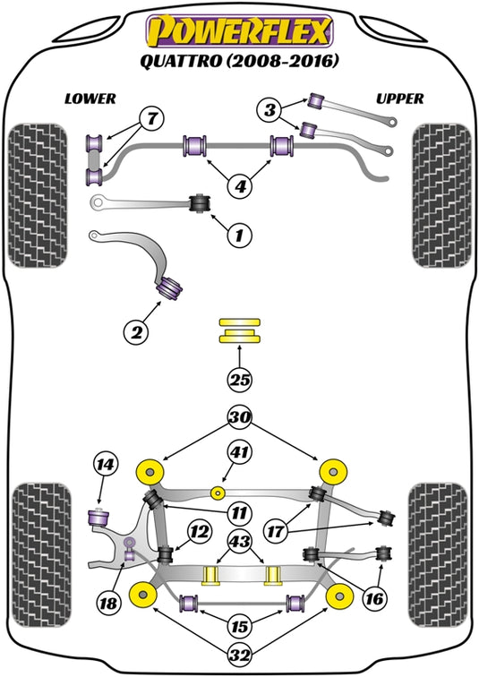Schema silent block Powerflex per Audi A4 B8 Quattro (08-16)