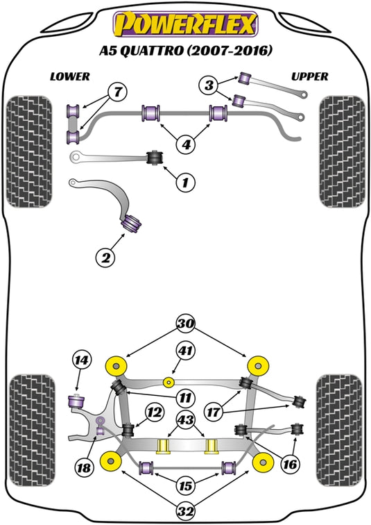 Schema silent block Powerflex per Audi A5 Quattro (07-16)
