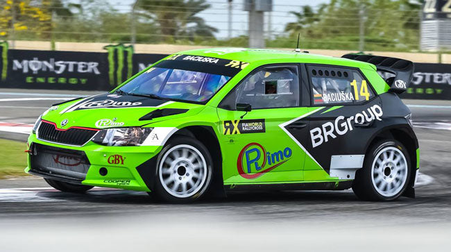 Vetri in Policarbonato per Skoda Fabia MK3 NJ
