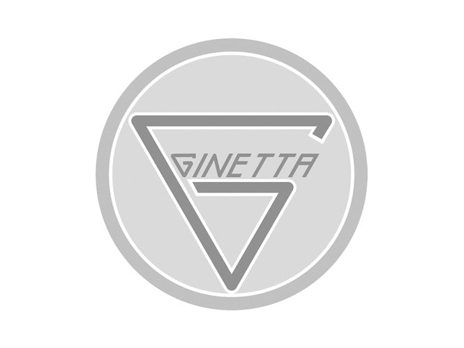 Vetri in Policarbonato per Ginetta G4