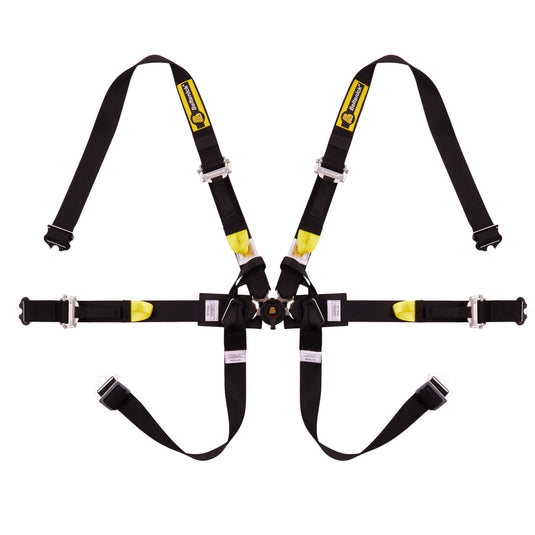 Cinture BELTENICK RCU1004 6 punti per Formula - Hans