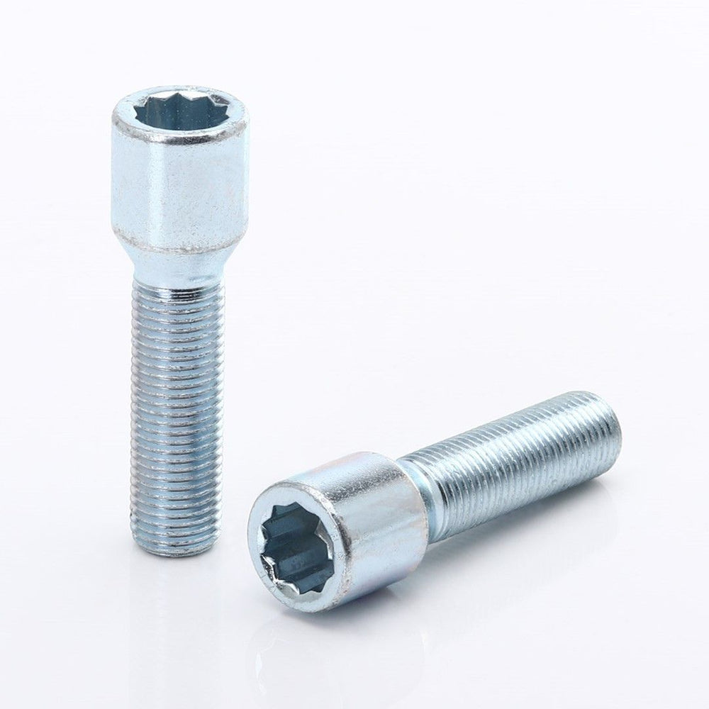 Bulloni Ruota Lunghi Argento a Impronta Interna M12x1.25 (40 mm - confezione da 10)