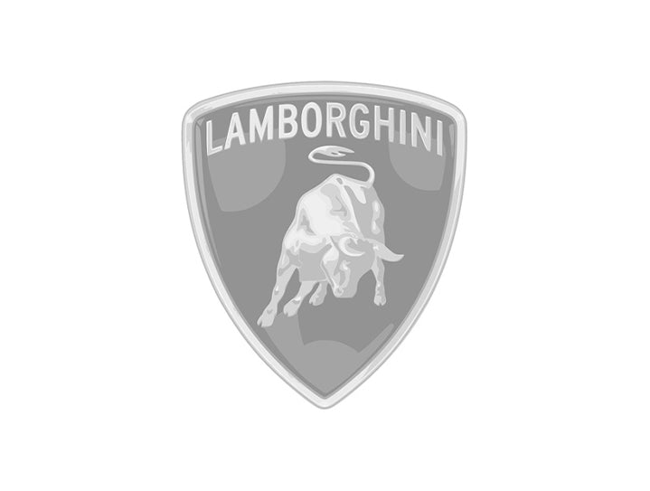 Vetri in Policarbonato per Lamborghini Gallardo LP560 Spyder