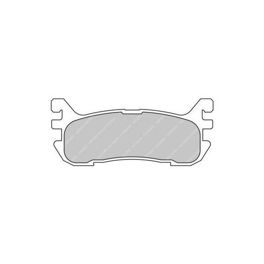 Pastiglie freno FERODO RACING DS2500 FCP1012H