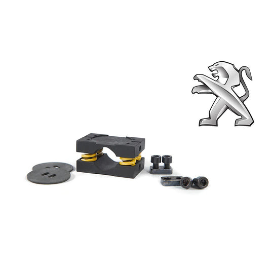 Kit di Conversione Differenziale Autobloccante RacingDiffs per Peugeot / Citroen
