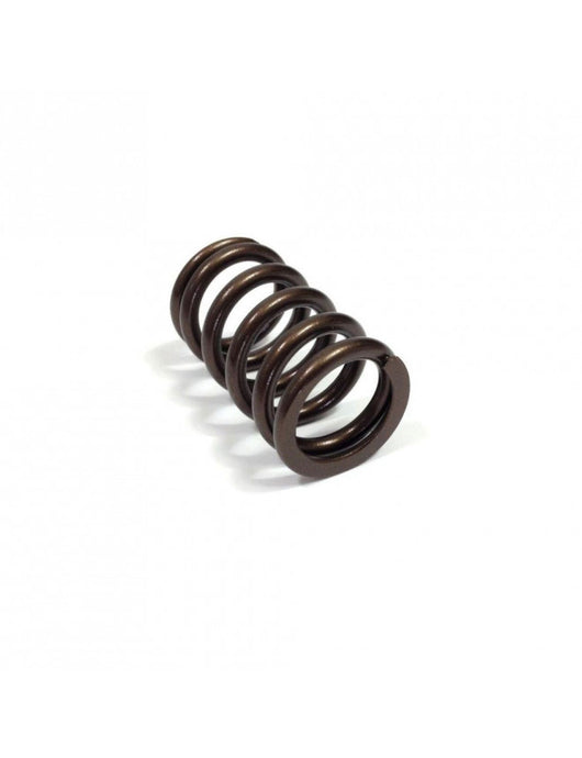 Molla valvola CAT CAMS per Renault R5 Turbo (singola) PAC-I99859