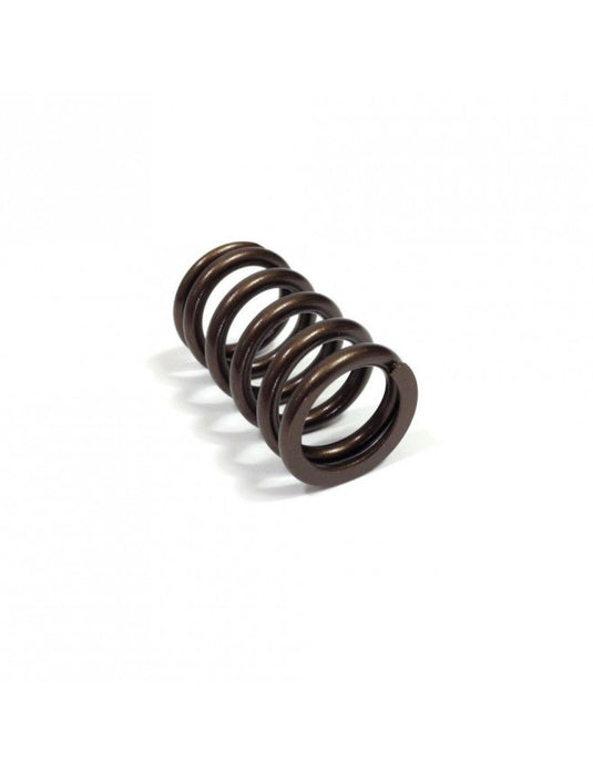 Molla valvola CAT CAMS per Renault R5 Turbo (singola) PAC-I99859