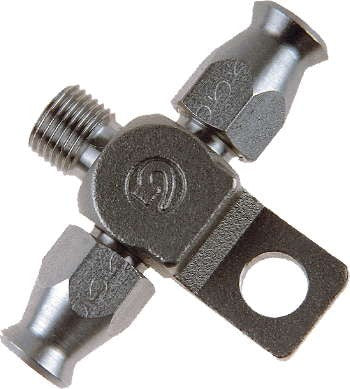 TE Goodridge 1 Maschio + 2 Femmine 1.8 BSP