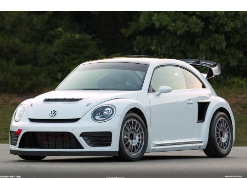 Vetri in Policarbonato per Volkswagen Beetle A5