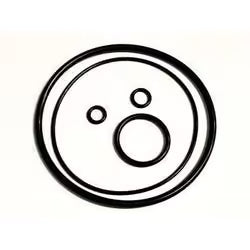 Kit O-Ring 90 & 25 mm per Coperchio di Filtro Olio BMW