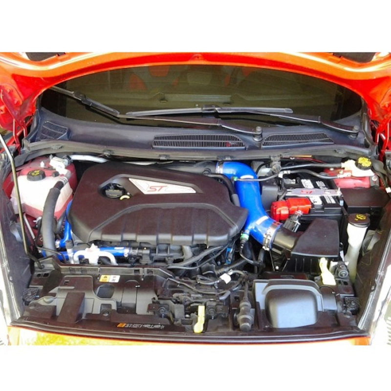 Carica immagine in Galleria Viewer, Vaschetta Recupero Vapori Olio Motore Mishimoto per Ford Fiesta ST180 (2013+)
