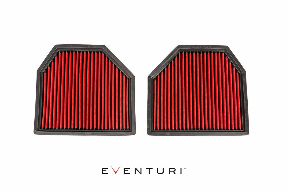 Filtri Aria Eventuri per BMW M5 F10 / F11