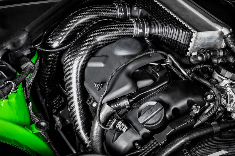 Carica immagine in Galleria Viewer, Condotti di Aspirazione Carbonio Eventuri per BMW M4 F82
