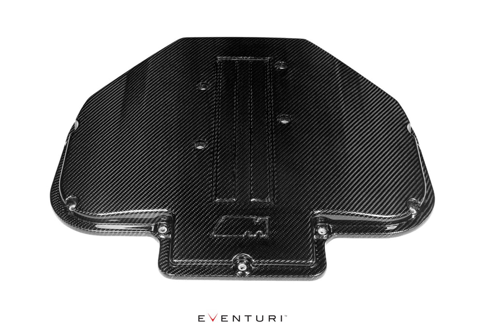 Copertura Collettore di Aspirazione Carbonio Eventuri per BMW Z8 S62