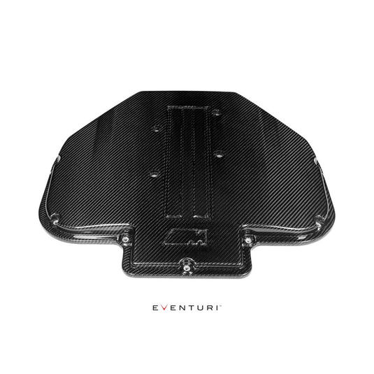 Copertura Collettore di Aspirazione Carbonio Eventuri per BMW Z8 S62