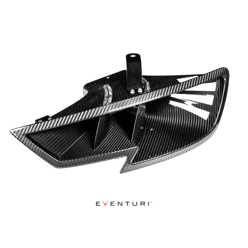 Presa d'Aria del Faro Carbonio Eventuri per Audi RS3 8V