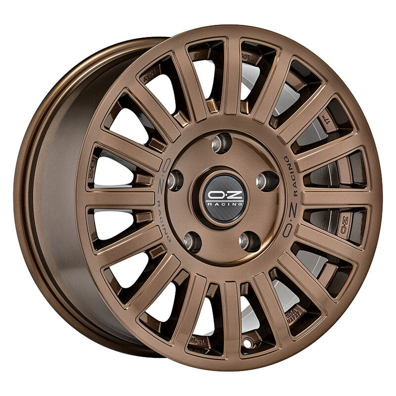 Carica immagine in Galleria Viewer, Cerchio OZ Racing Rally Raid 8,5x18 6x135 ET34 - Bronzo
