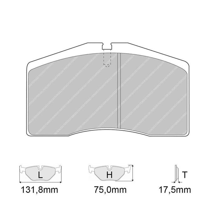 Pastiglie freno FERODO RACING DS3000 FCP891R